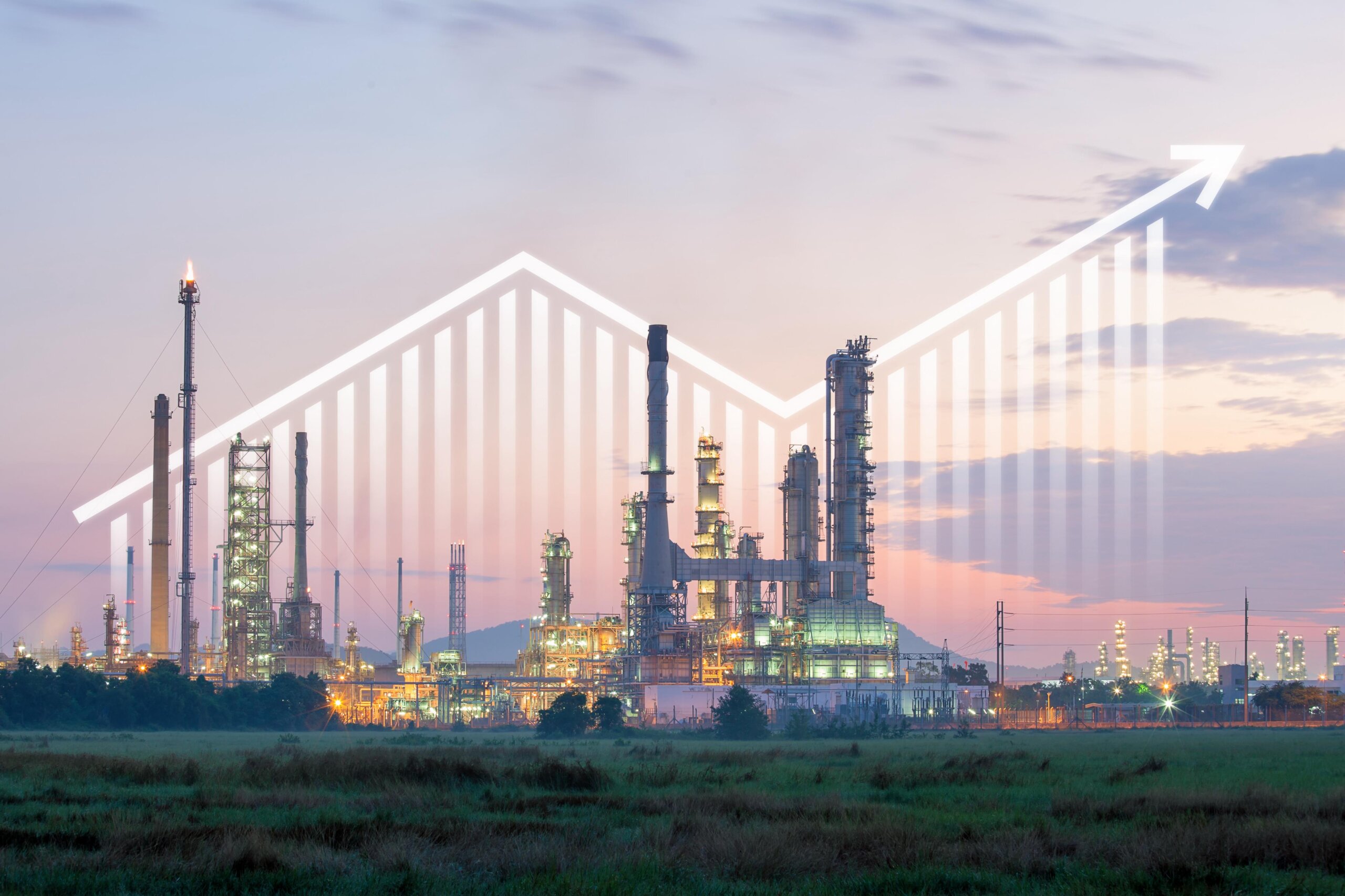 Energy and fuel shocks
